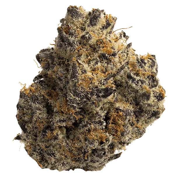 Home | Small-Batch Cannabis 19 Dante 600px