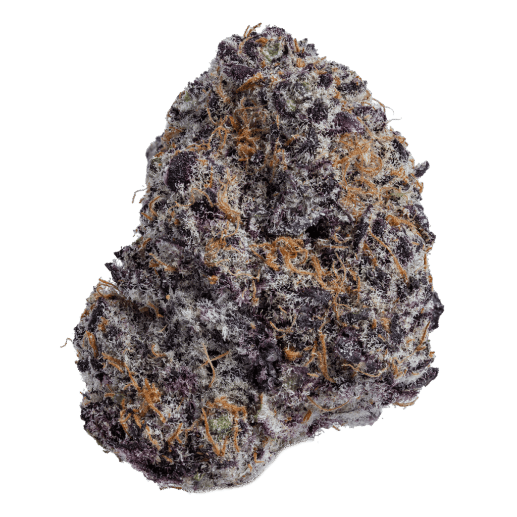 Home | Small-Batch Cannabis 25 Dolphin web