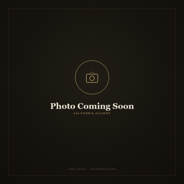 photo coming soon
