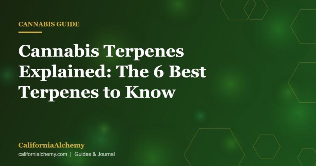 Cannabis Terpenes Explained: The 6 Best Terpenes to Know 1 Cannabis terpenes explained guide cover image